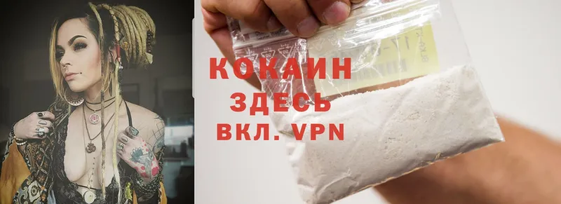 хочу наркоту  Каргат  Cocaine Эквадор 